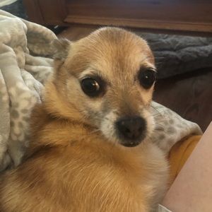 Meet your Posher, Holly